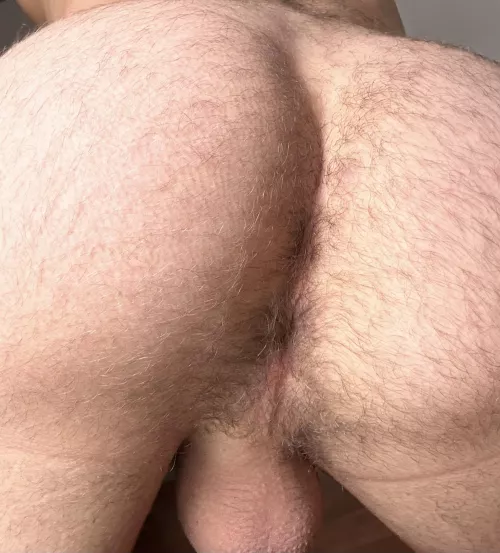 Come use my hairy ass dude