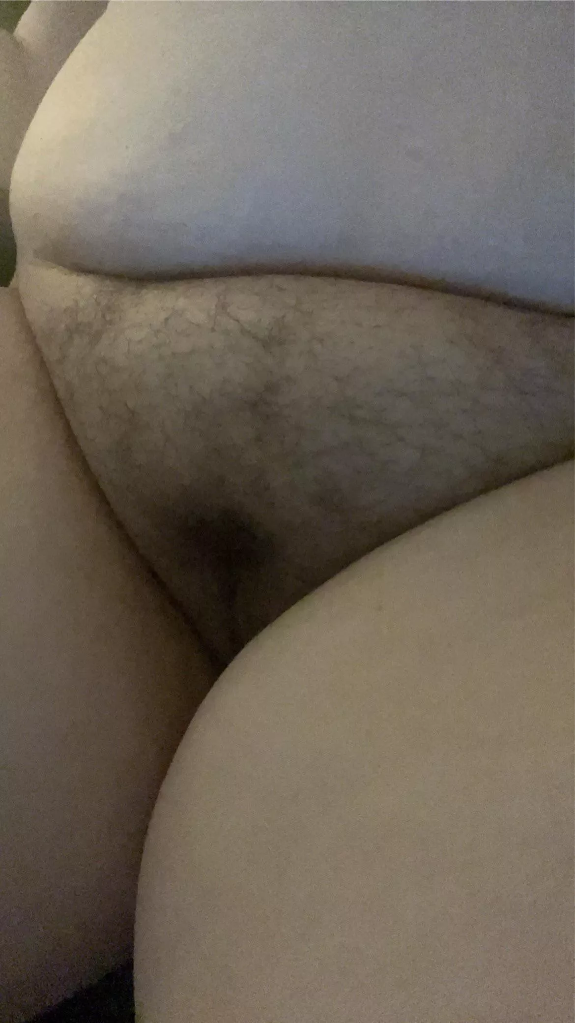 For the guys who love a hairy pussy x