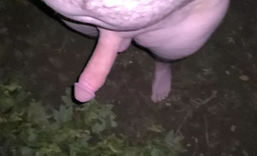 In the park nude, at night. 