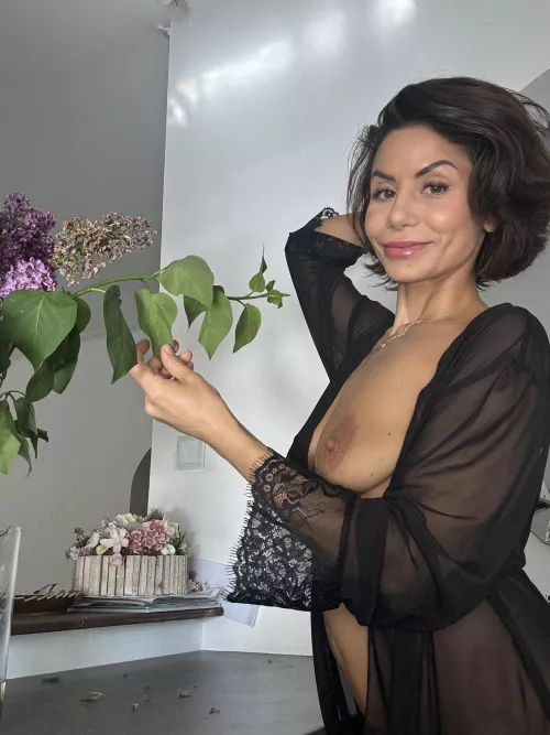 Loving these spring lilacs