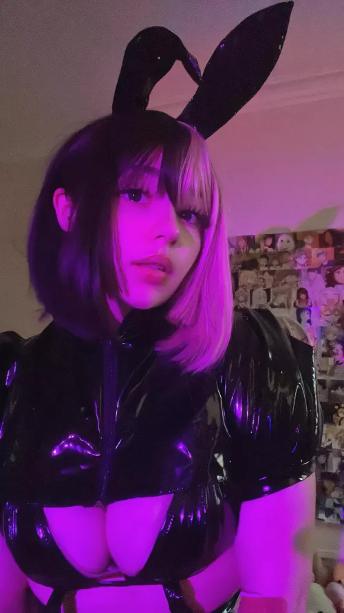 My Bunny Cosplay :)