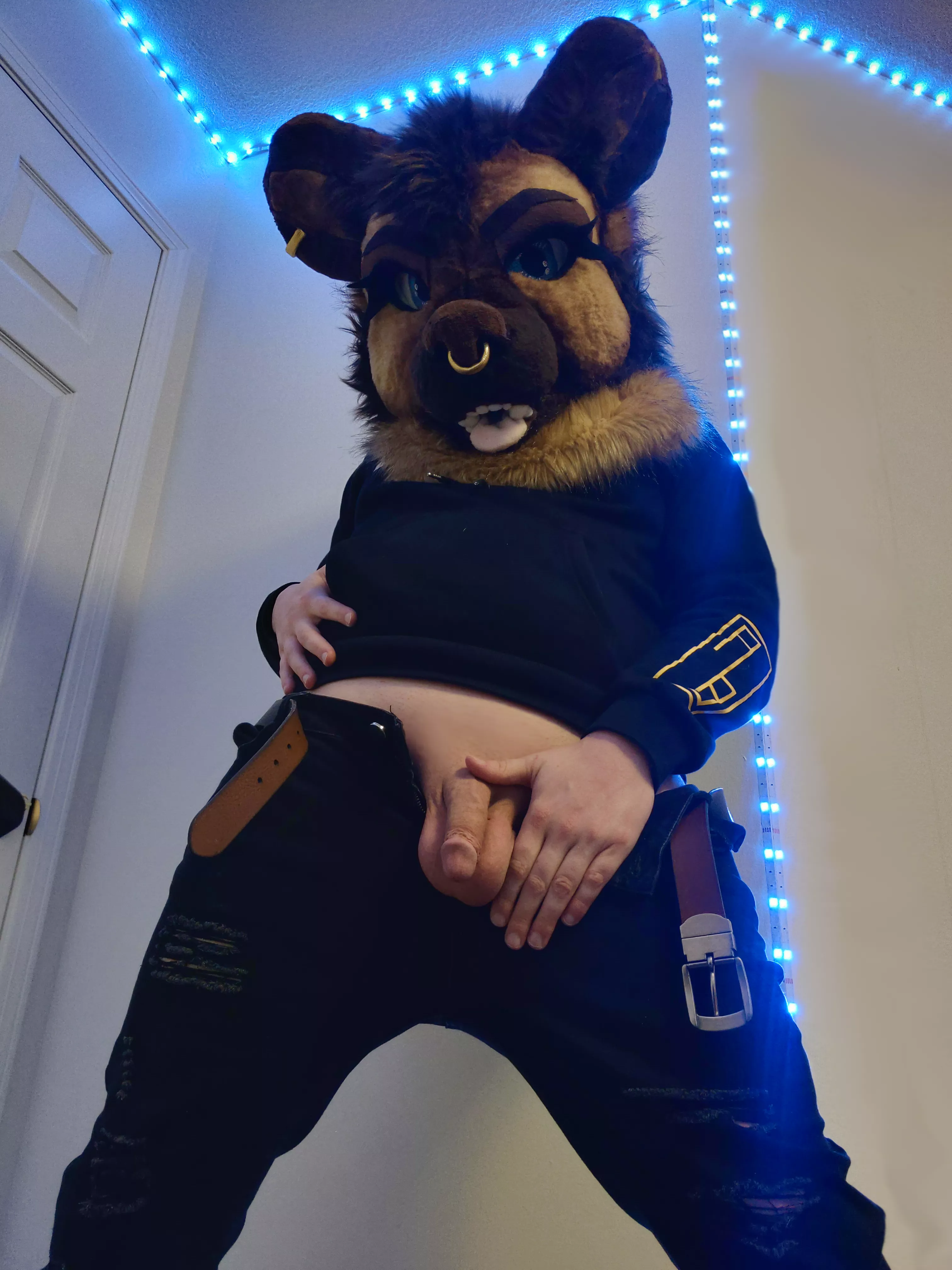 Still waiting for my service, puppy~