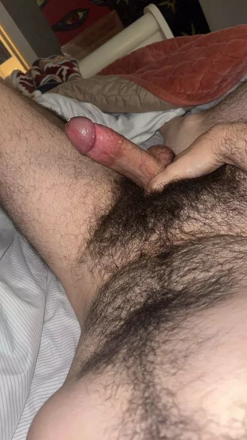 (27) bush = thick af 🫣😅