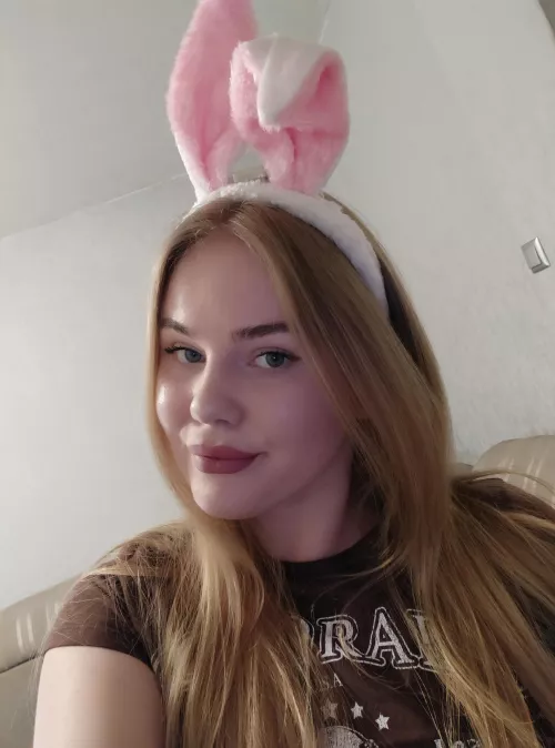 cute bunny