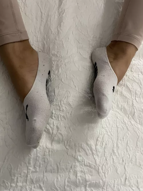 I want my socks sniffed