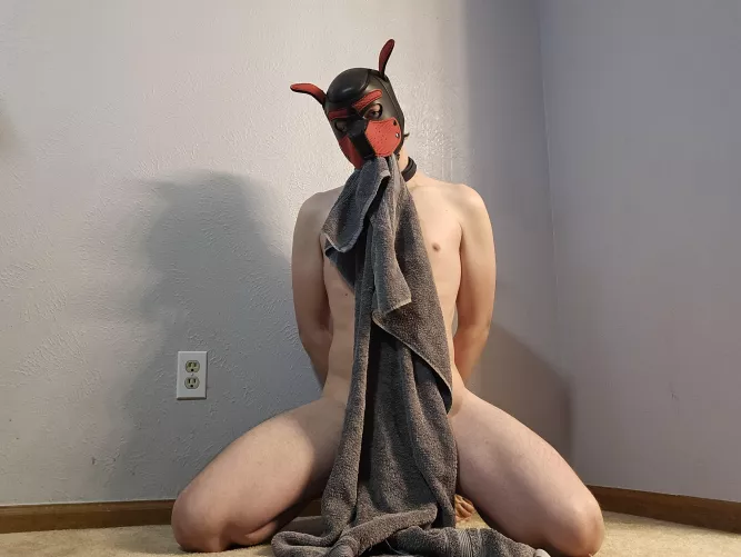 Is Towel Tuesday a thing on reddit?