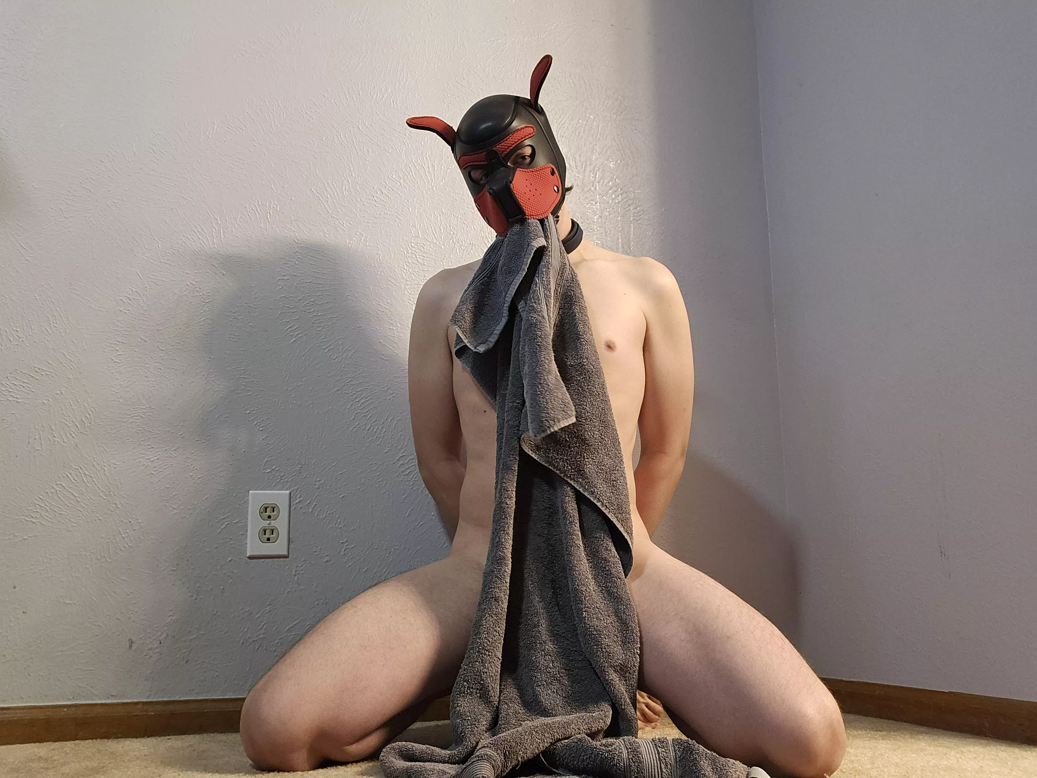 Is Towel Tuesday a thing on reddit?