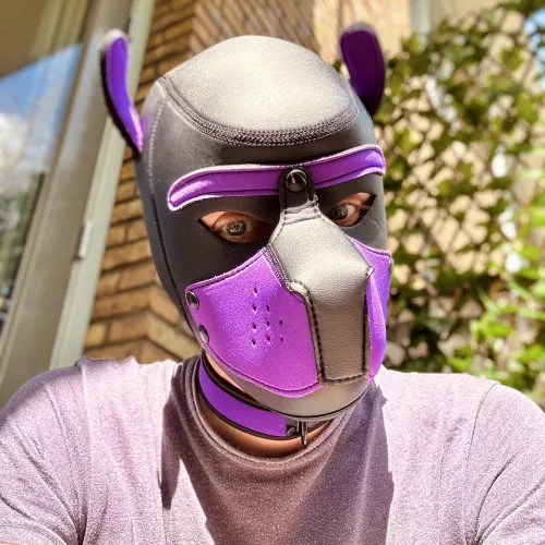 Met a bunch of new of pup yesterday, pawwsome buddies it seems!! 🐶🐾💜