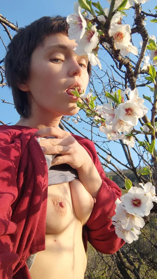 my garden is blooming, touch my little flowers