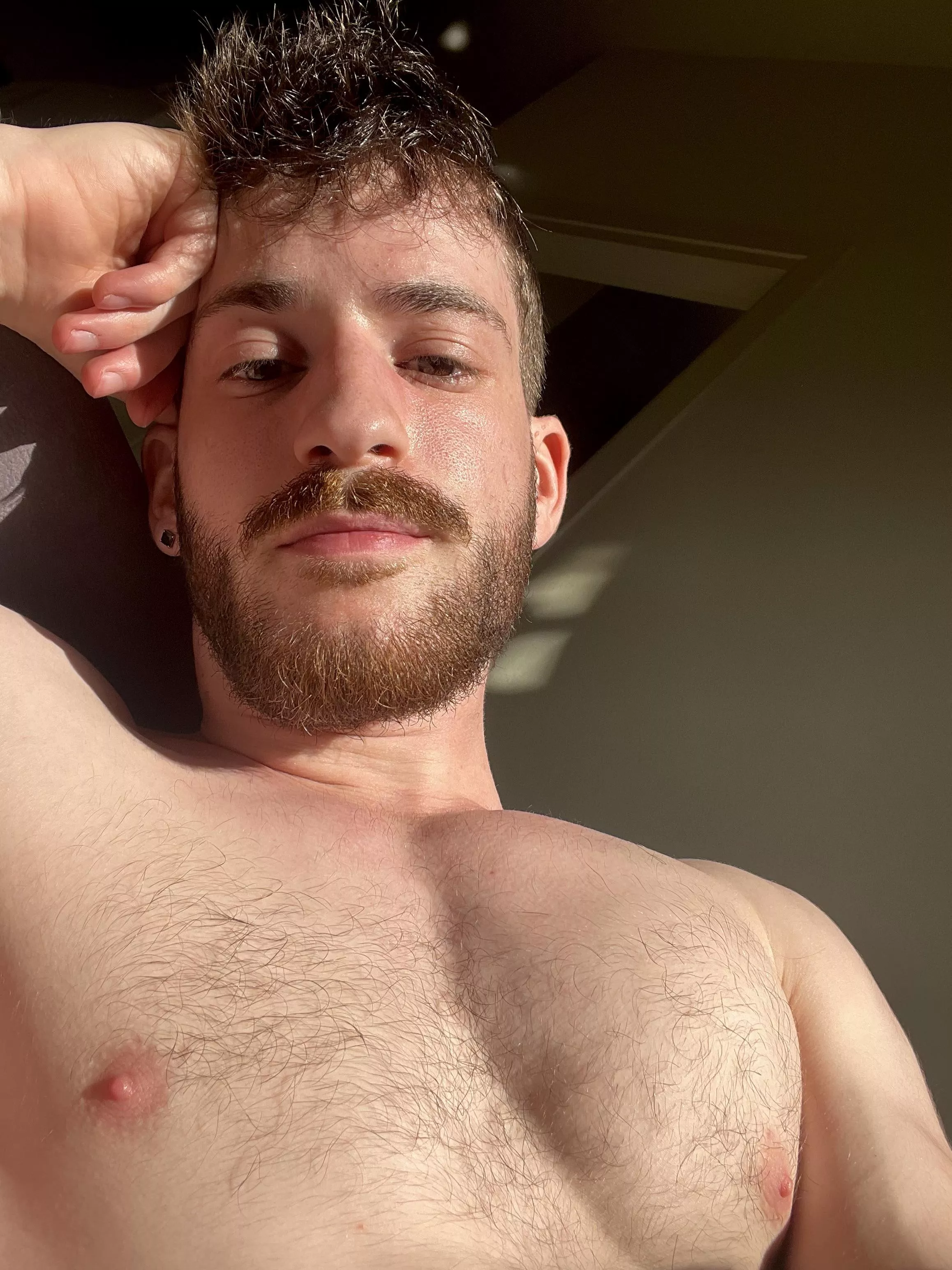 My stupid sunginger beard, sample 2. I swear it usually is the color of my hair