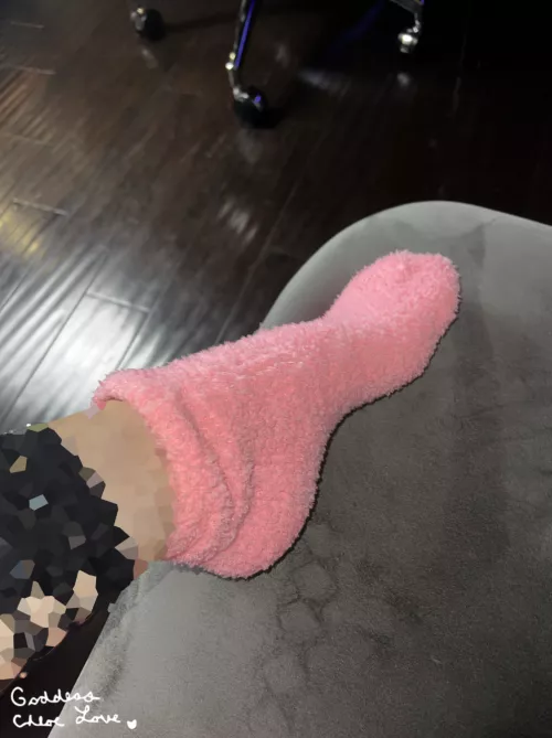 Pink fuzzy socks for hump day [F]23
