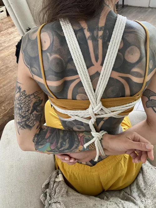 Update from the back✨