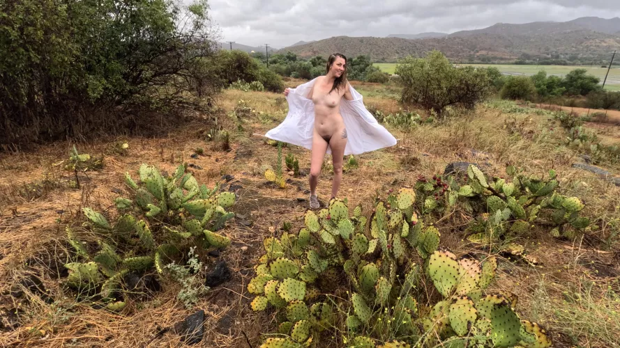 Wet and bushy scenery…