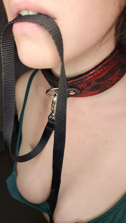 Yes sir, I'll hold this for you until you give me something else to hold