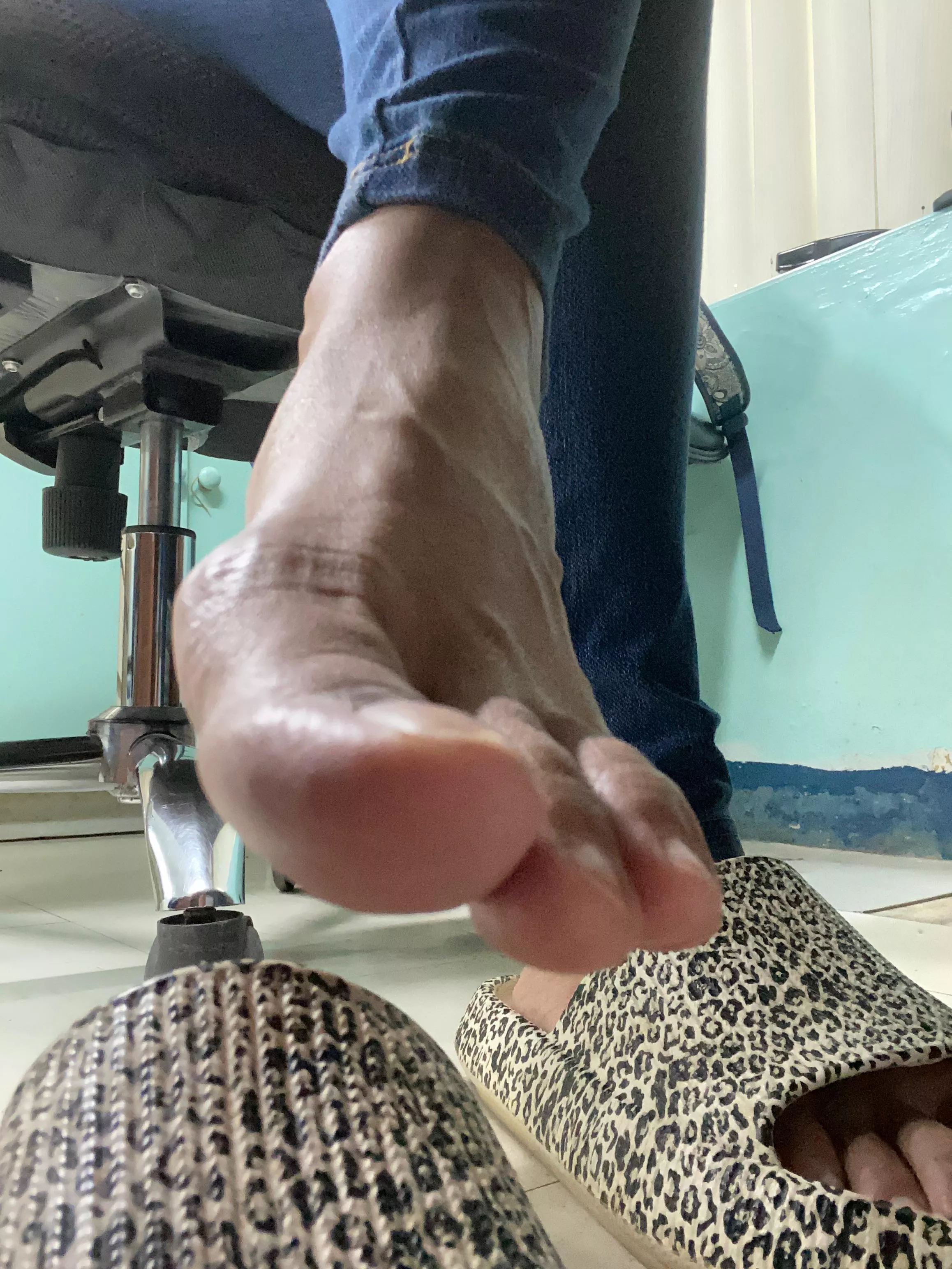 Your view. Beautiful, ain’t it? I bet you wanna live under my desk. 😏 