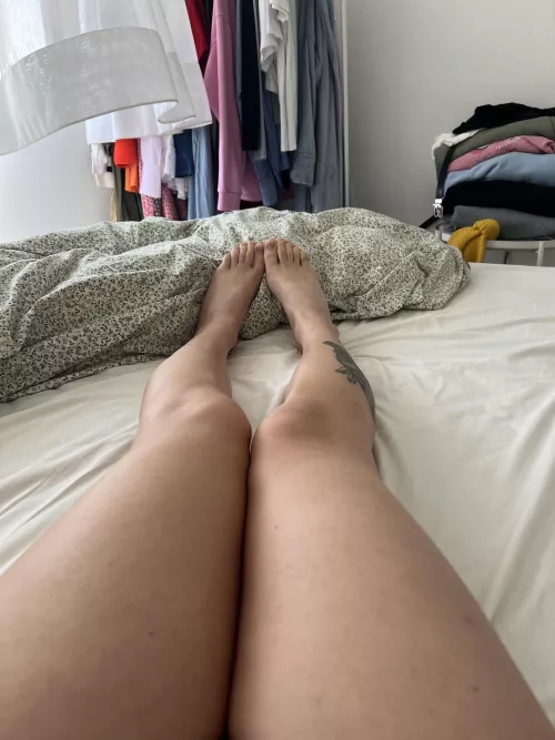 happy pre-summer paws 🐾