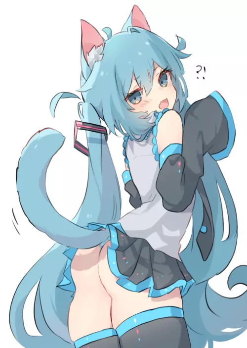 Miku-san please put on some cat ears