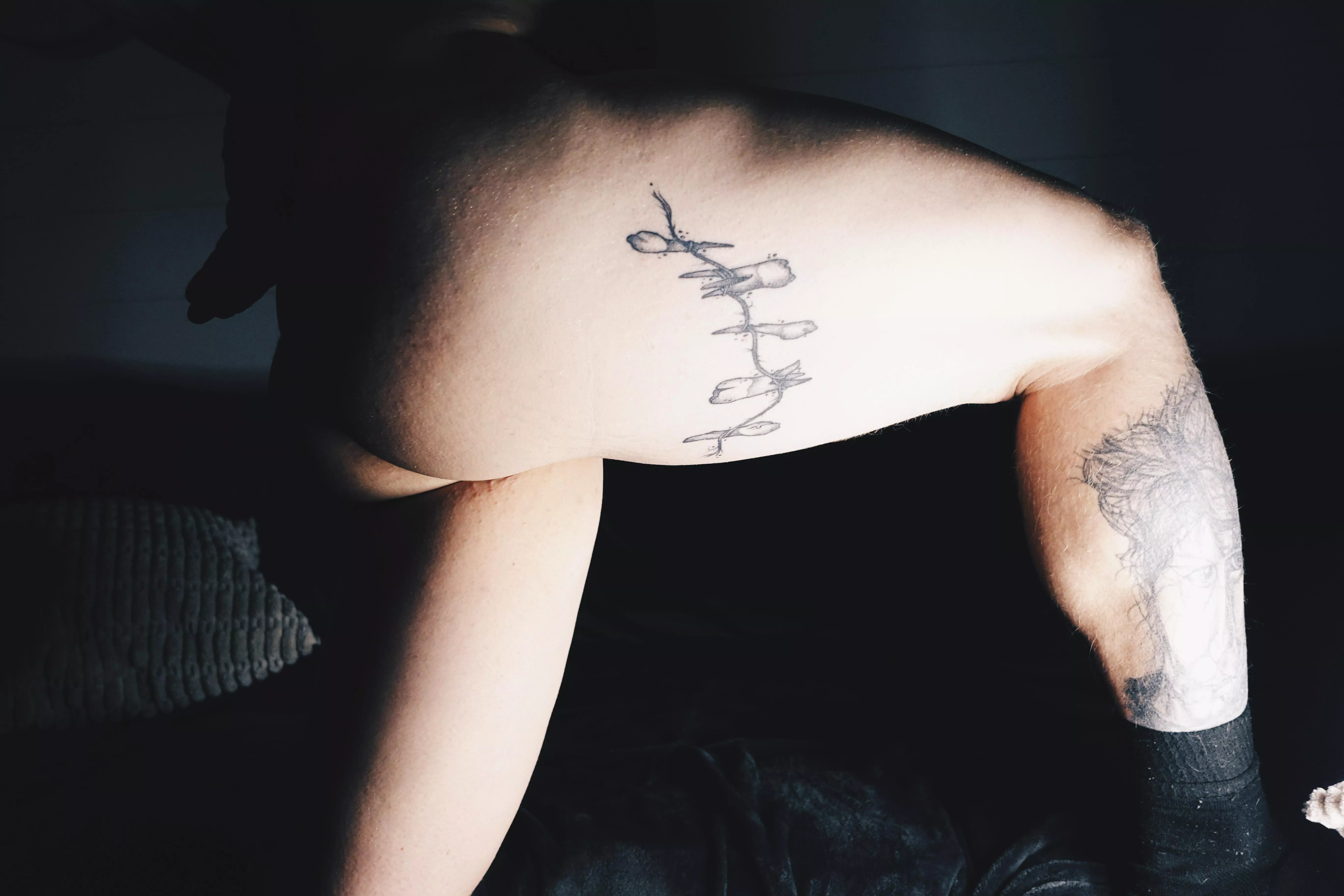 What are fans for? Spotting? 