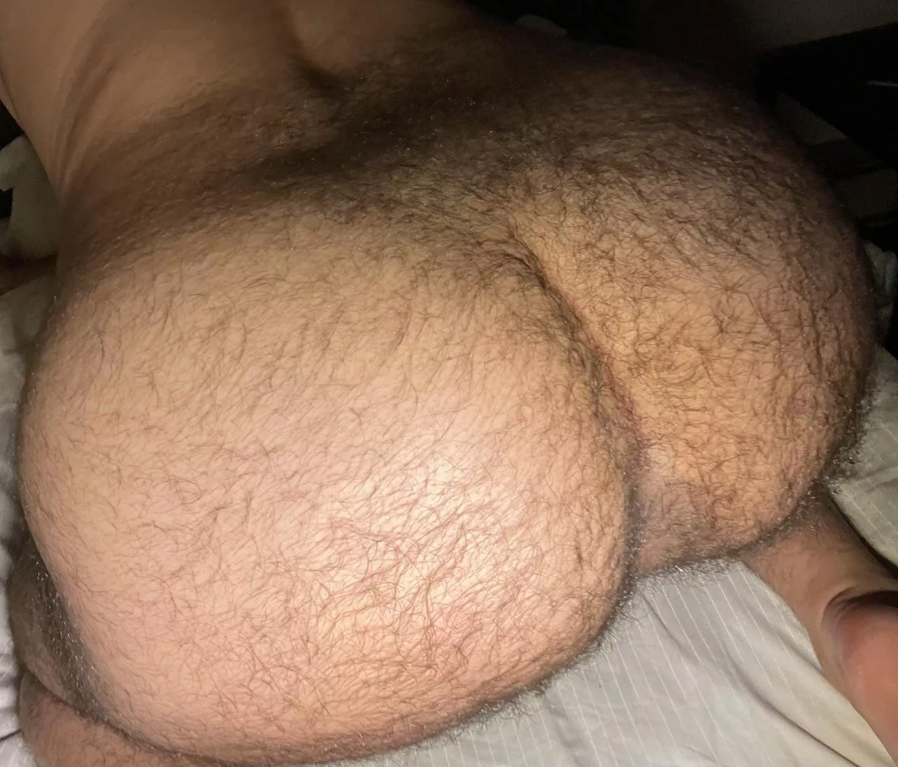 Eating, sniffing, licking or filling?