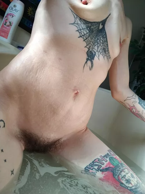 first post here! hope you like it 