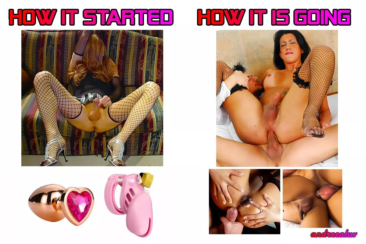 I think it's going just fine 🤩