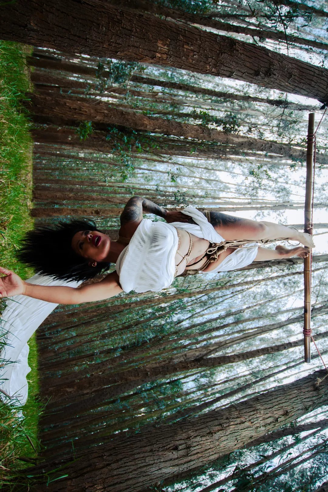 Rope, nature and perspective.