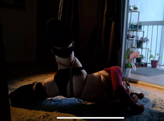 When ur RT makes u go “WHOSE BODY IS THAT!?!” In pictures…