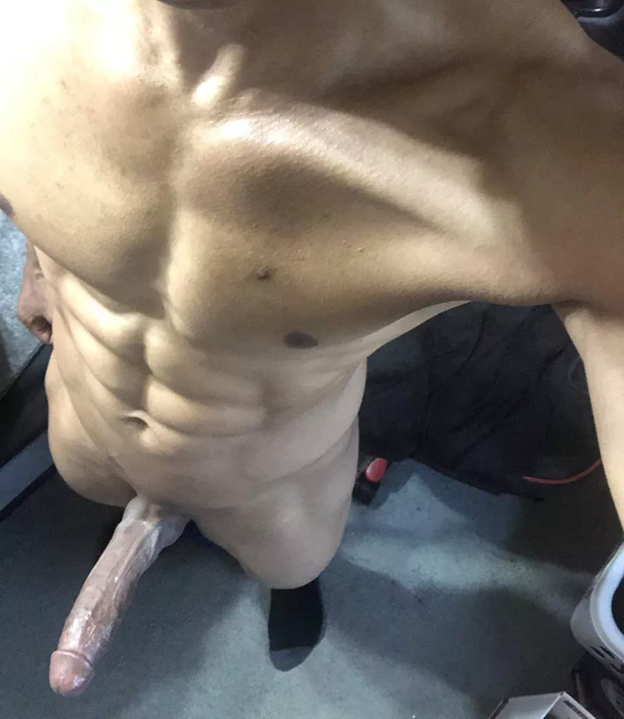 Who let the Dogs out? 🐺🐾🤔