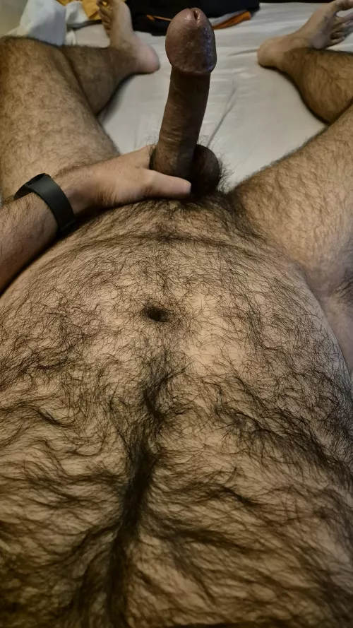 Anyone like a slightly furry body and cock? Love DMs 😈