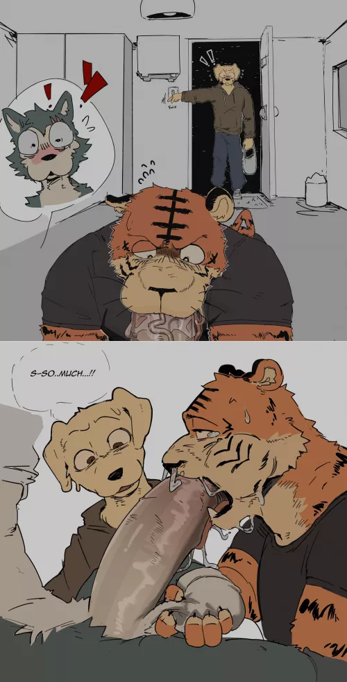 Boys Night In (akachi)