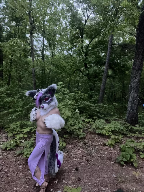 Come play with me in my territory 