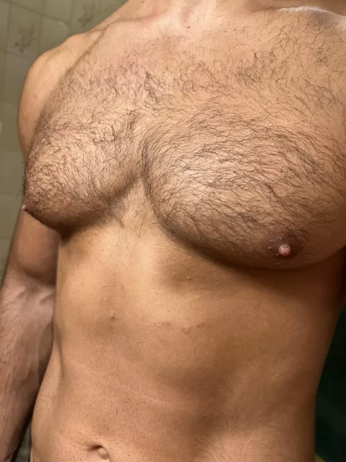 hairy chest and shaved stomach?