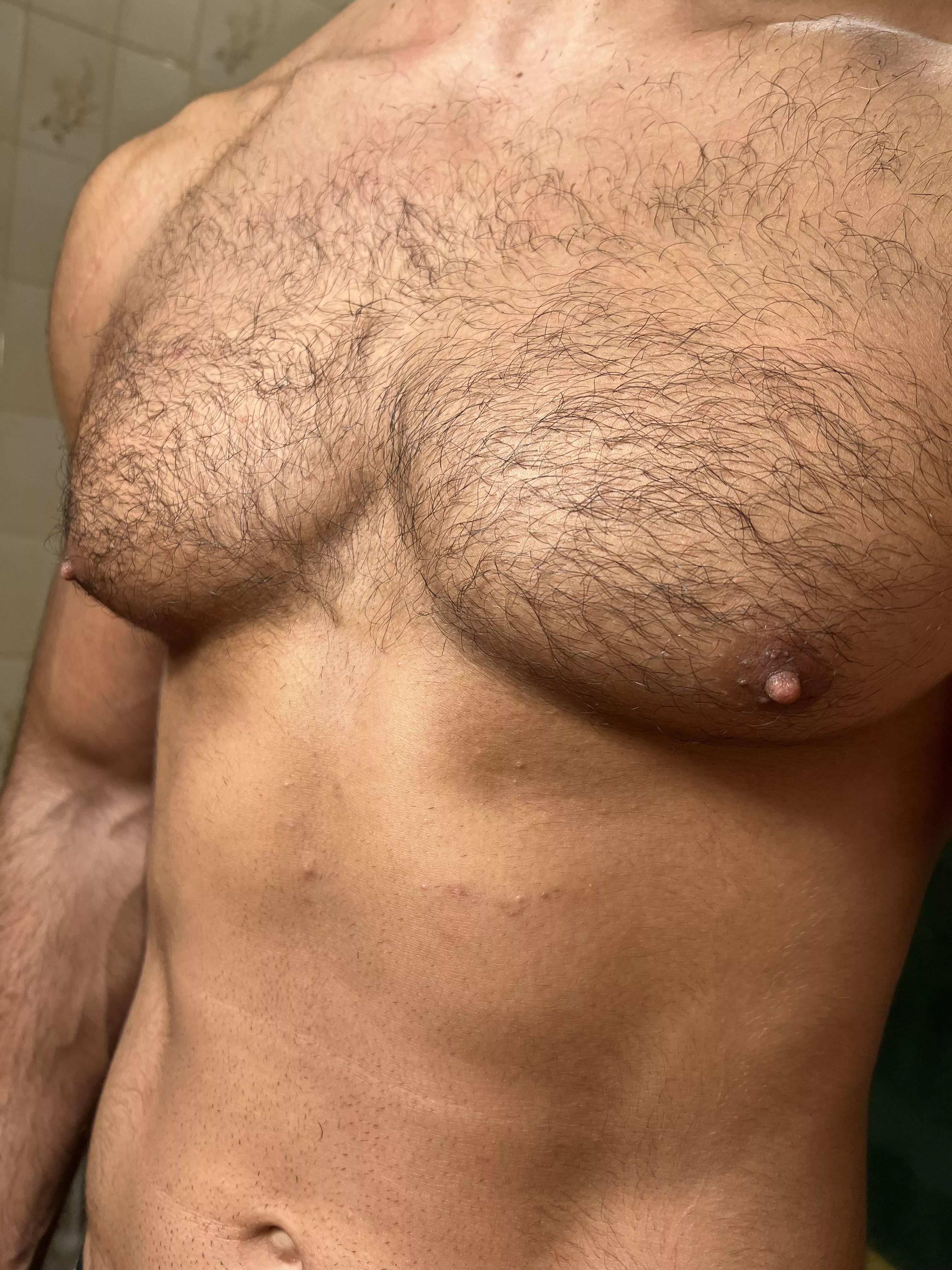 hairy chest and shaved stomach?