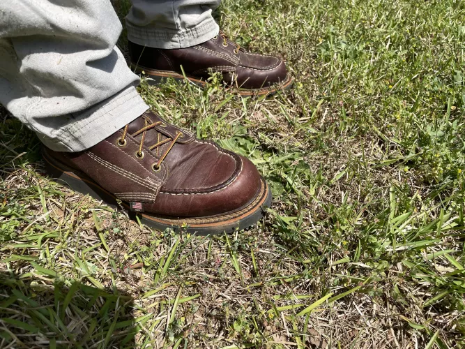 Thorogoods working today 