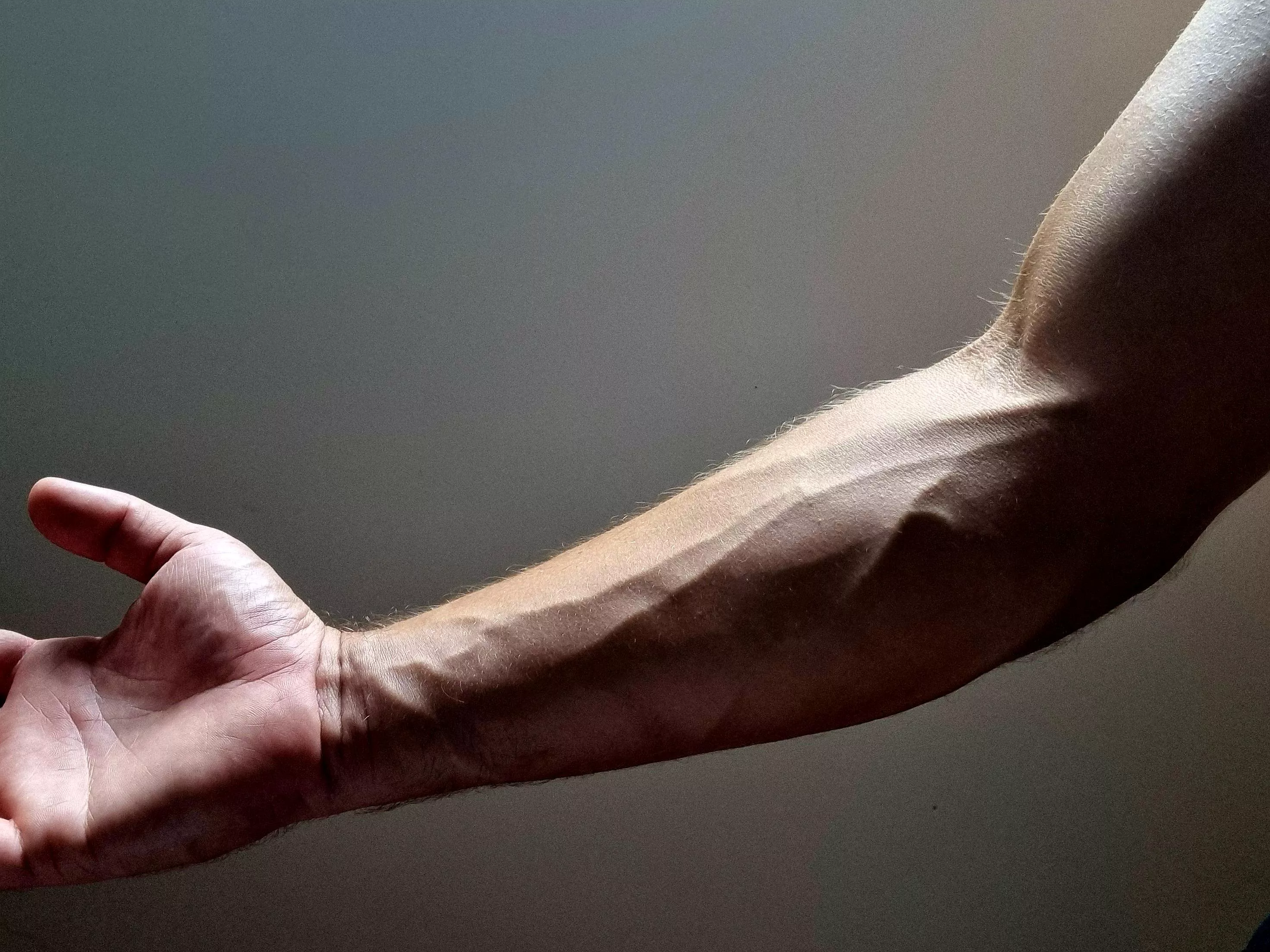 Do prominent veins add or detract from a visual aspect?
