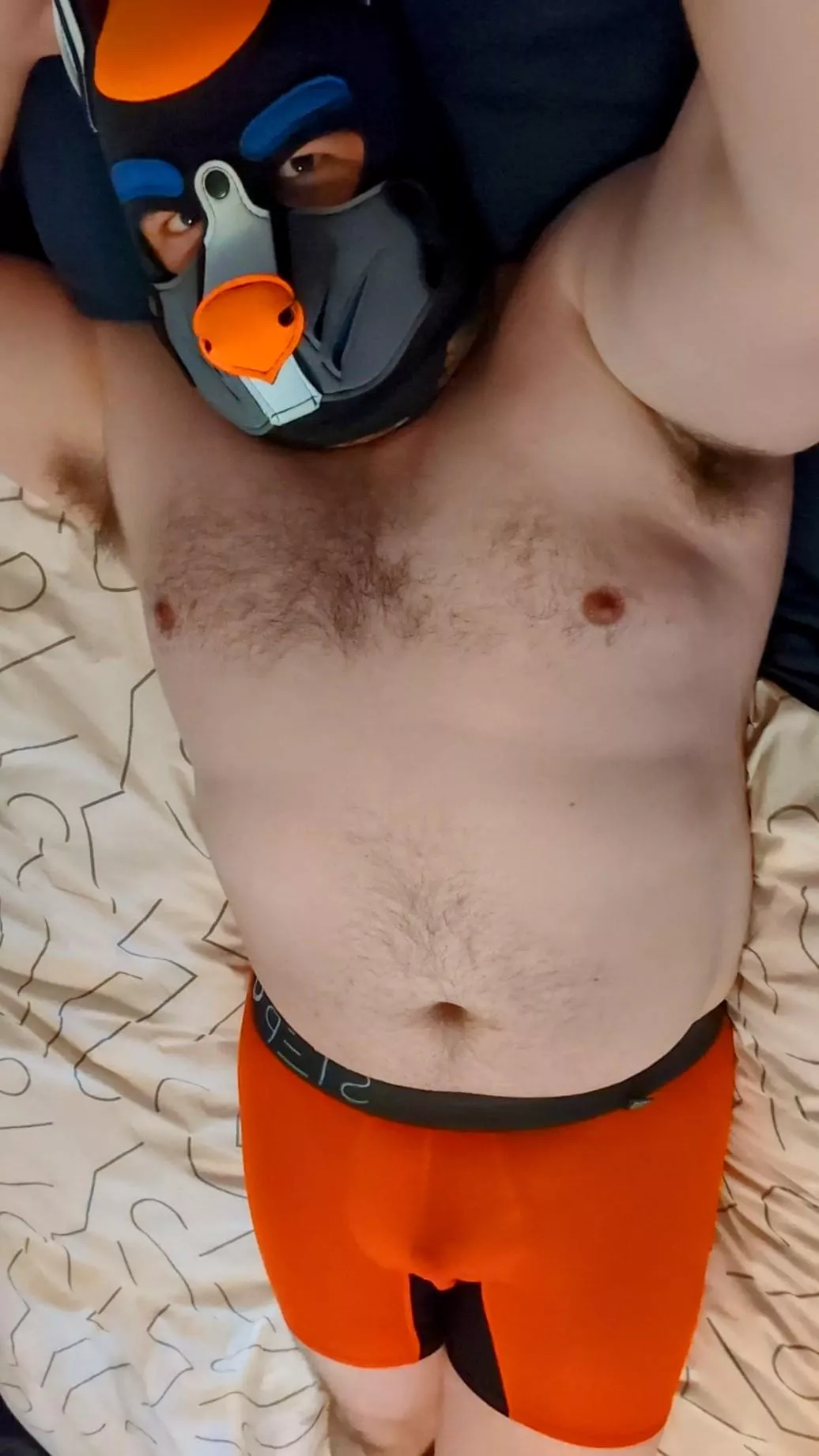 It's one of pup's favorite days, NEW UNDIES DAY! 🧡🩲🧡