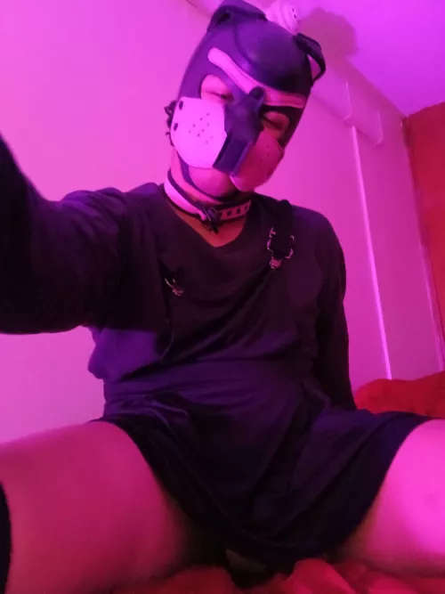 Lay your head down pup, you look tired