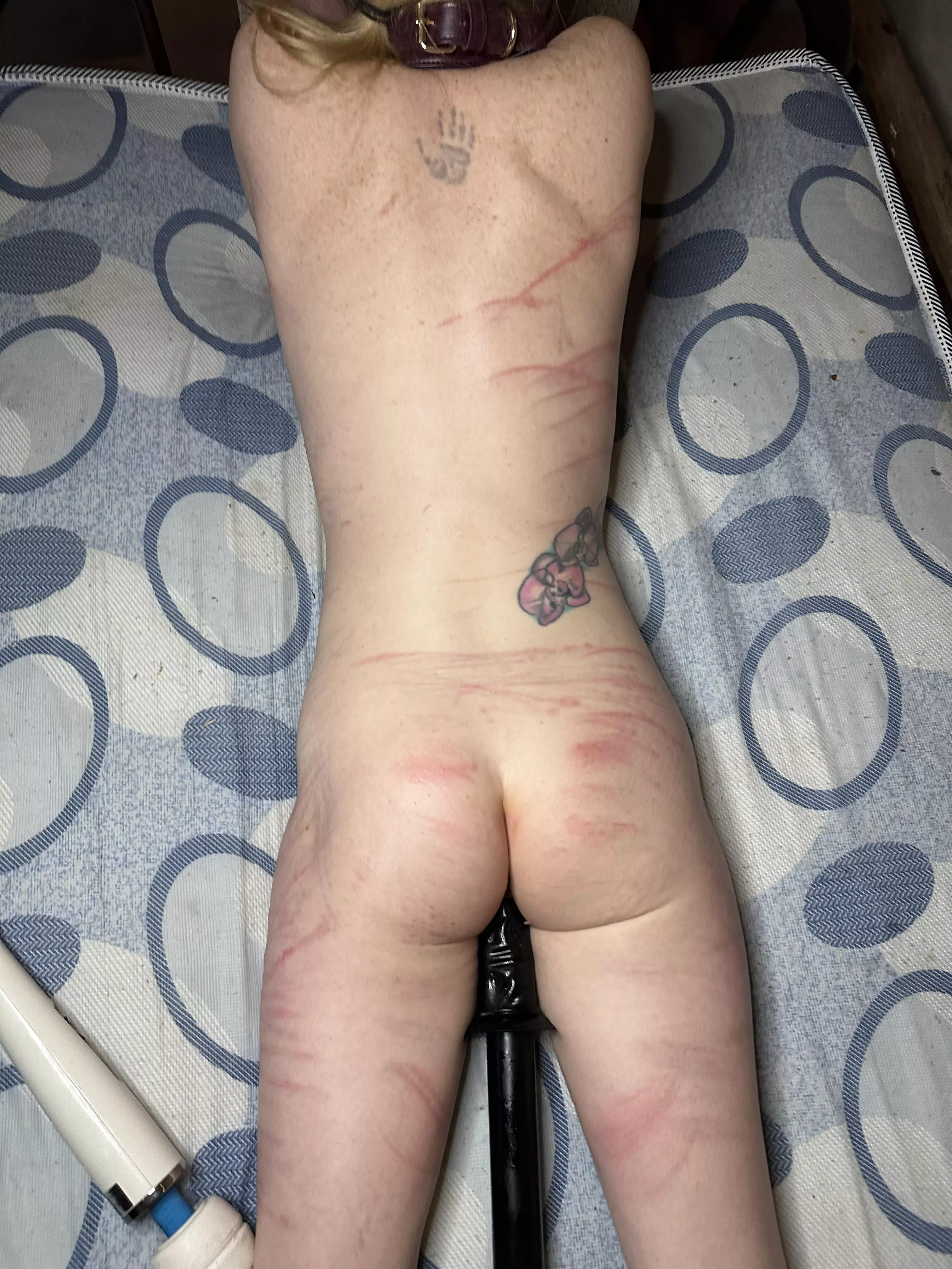 My work speaks for itself