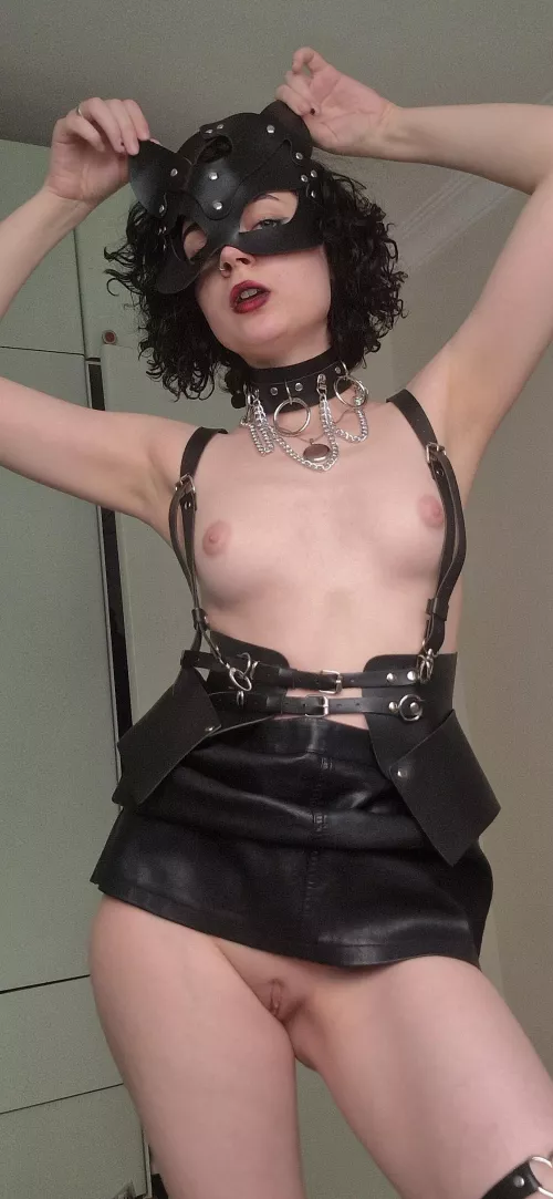 This shiny obedient kitty just wanna play