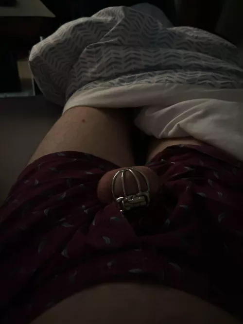 Wife locked me up and went out on a girls night