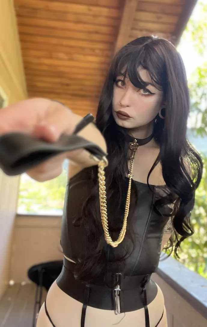 Would u take a leash if I suggest