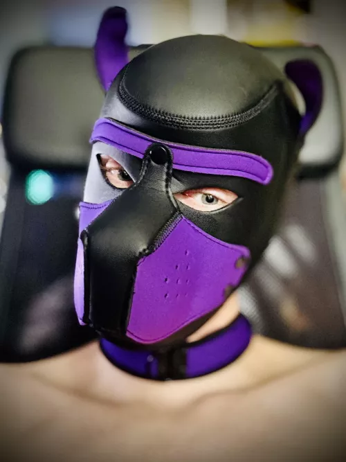Wruff, who wants to play a game? 💜