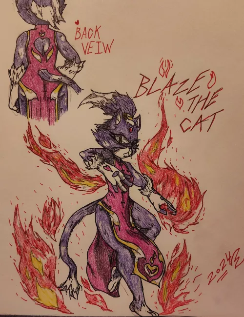 Blaze The Fire Dancer (I Made This)