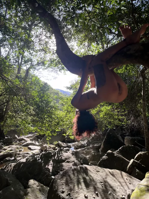 The cure is in the forest