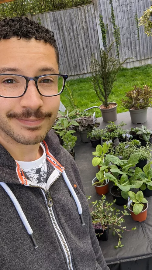 When you're sad you just buy plants right?