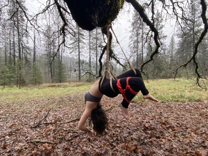 First time suspension 