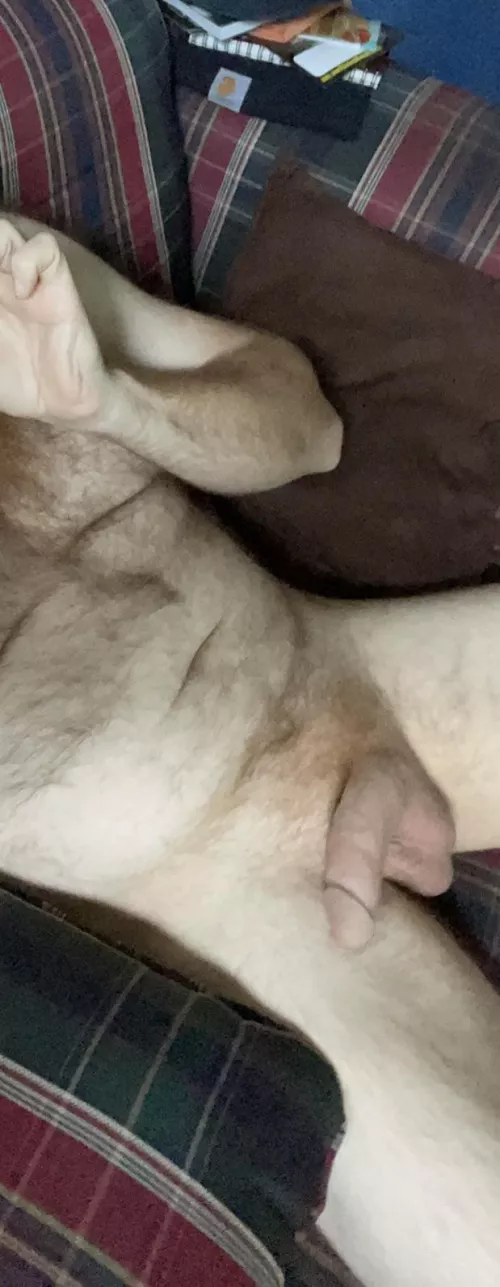 How does my hairy ginger dad bod look? 