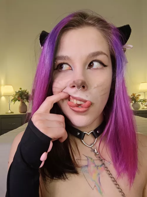 I can meow all night