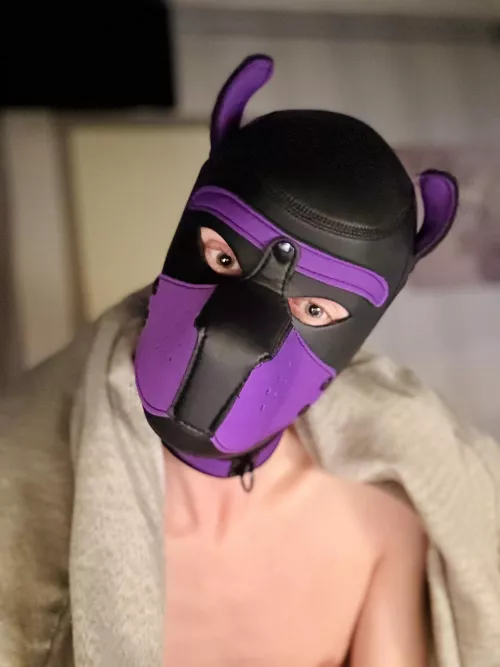 Morning, you awake?🤩 Time for walkies!! 🐾🐶