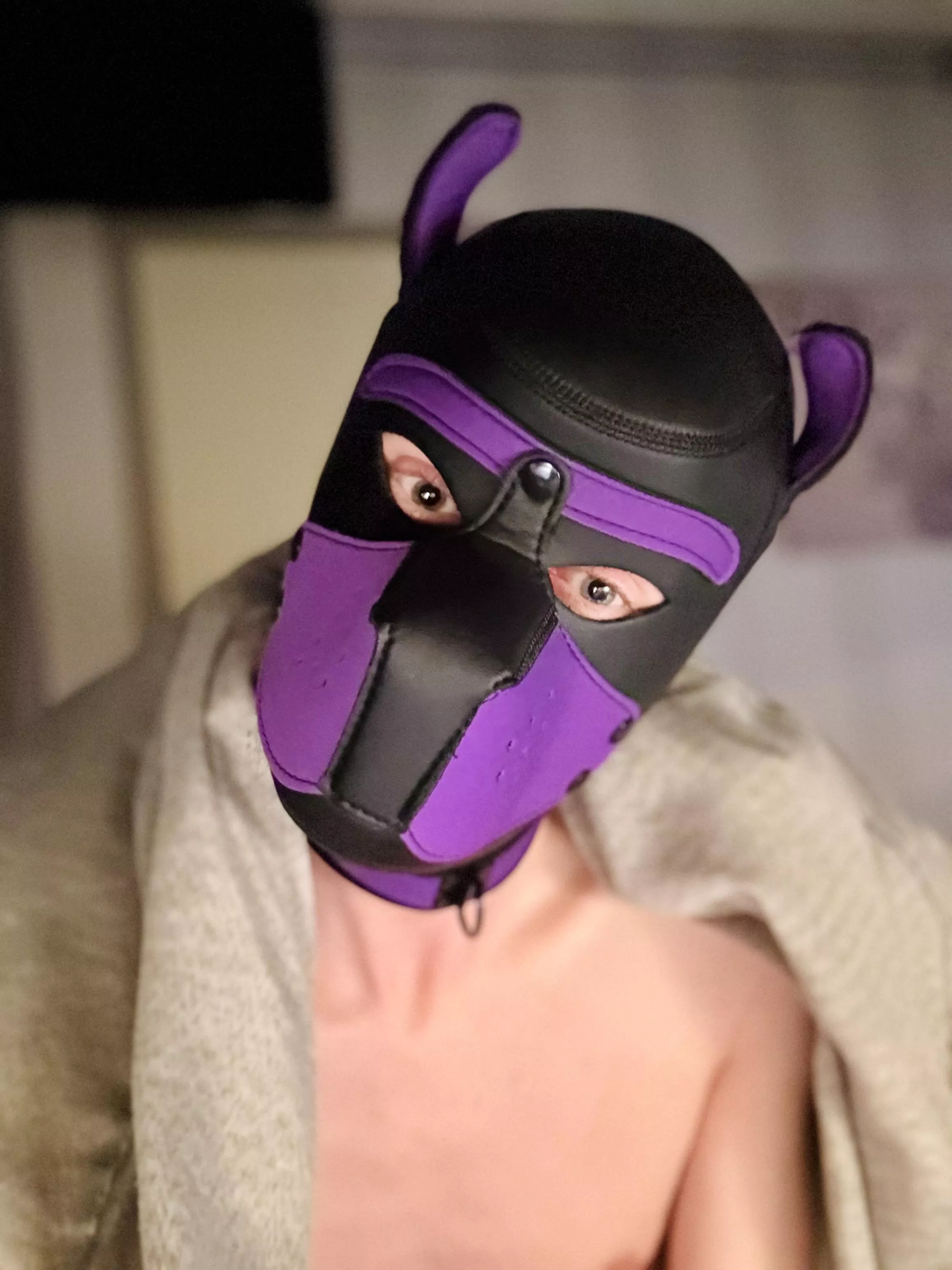 Morning, you awake?🤩 Time for walkies!! 🐾🐶